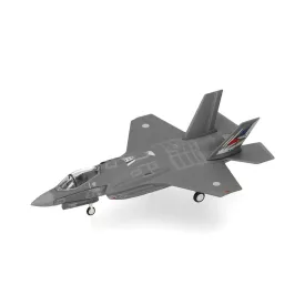   F35A Lightning II Japenese Air Self Defense 302 Hikotai, Misawa AB - 50th Anniversary